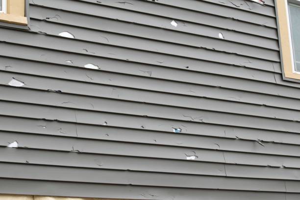 Best Wood Siding Installation  in Sycamore, GA